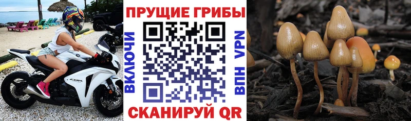 Галлюциногенные грибы мицелий  Томилино 